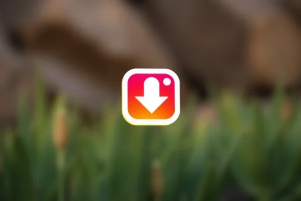 Comment Télécharger une Vidéo Instagram : Guide Complet et Pratique